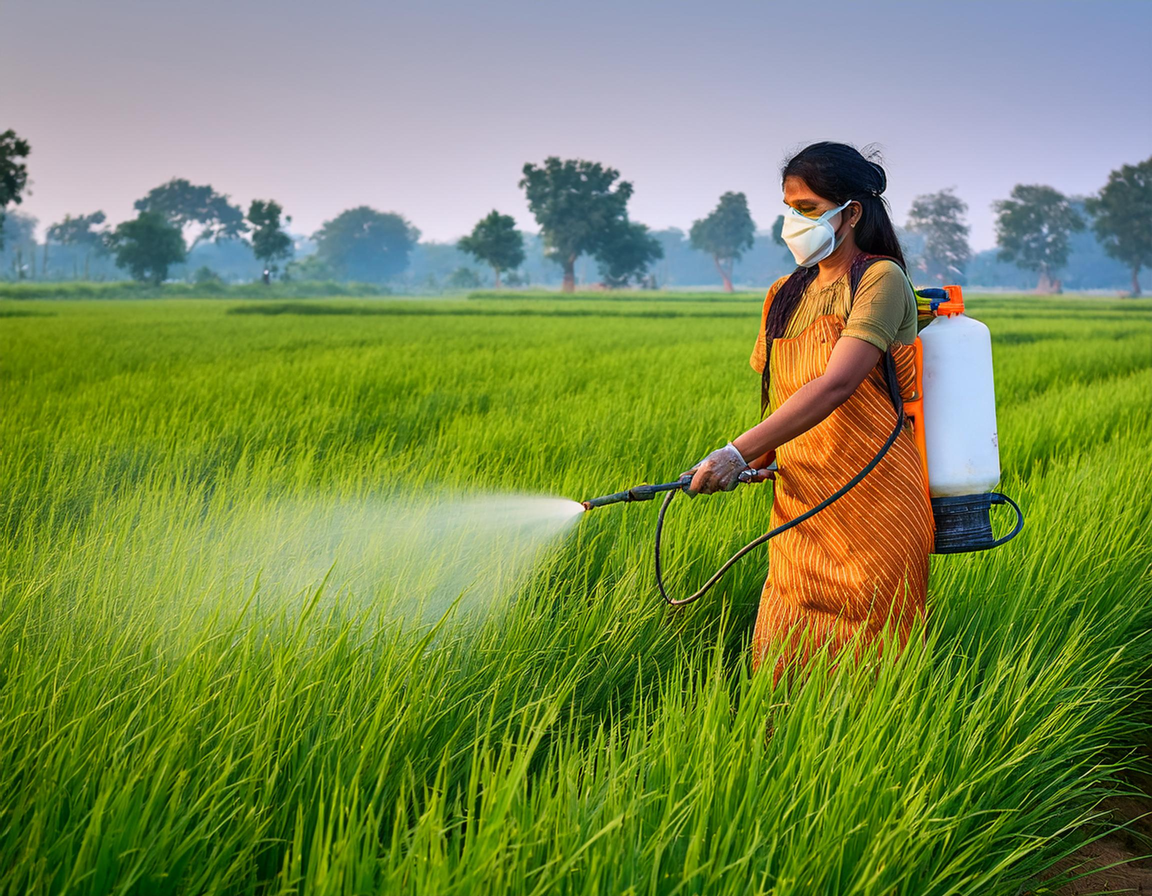 Read more about the article The Unseen Risk of Pesticides in India: Comparisons, between Maximum Residue Limits (MRLs)  and Actual Practices